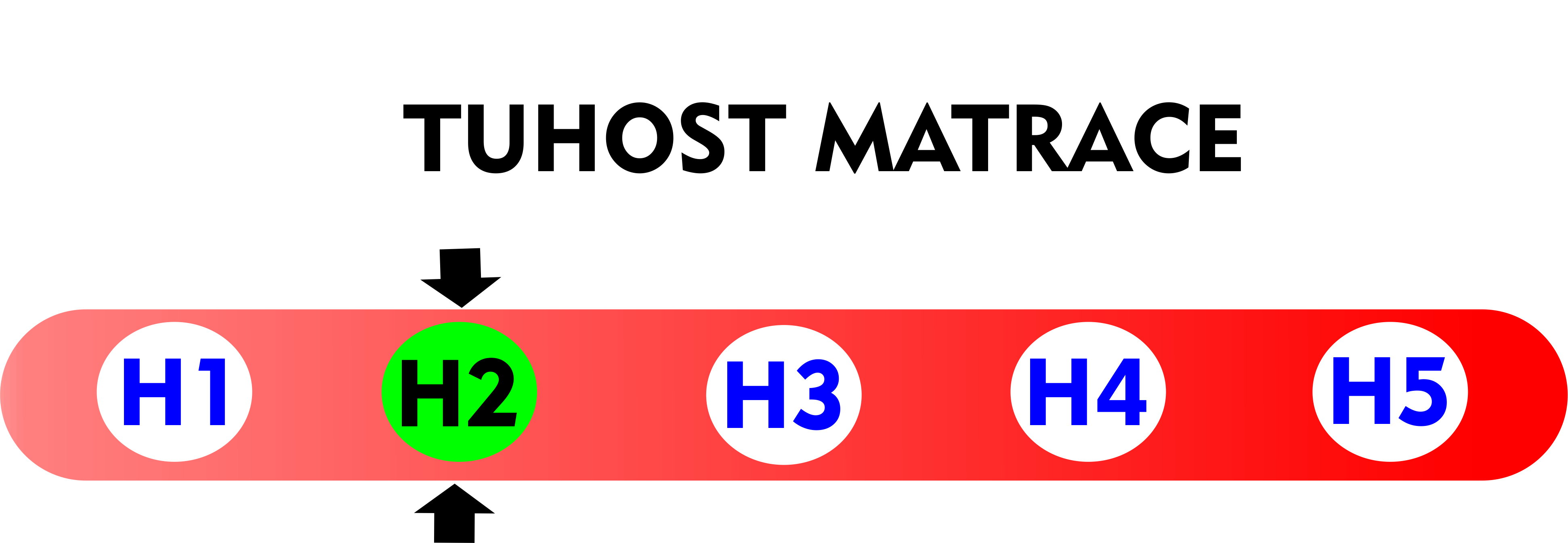 tuhost 2